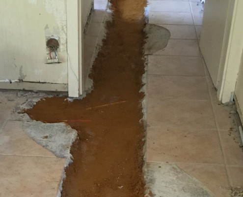 chauffage - sanitaire